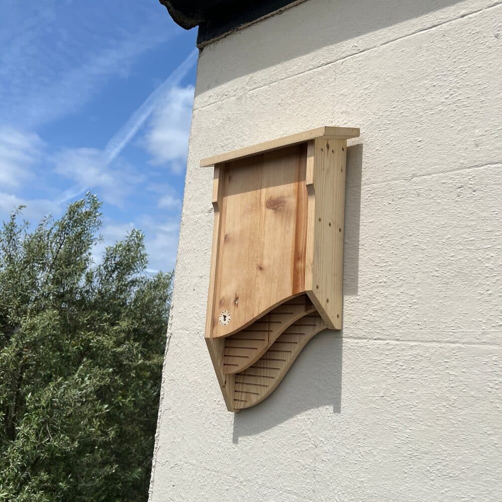 STBW bat box mounted high on a cream-rendered wall