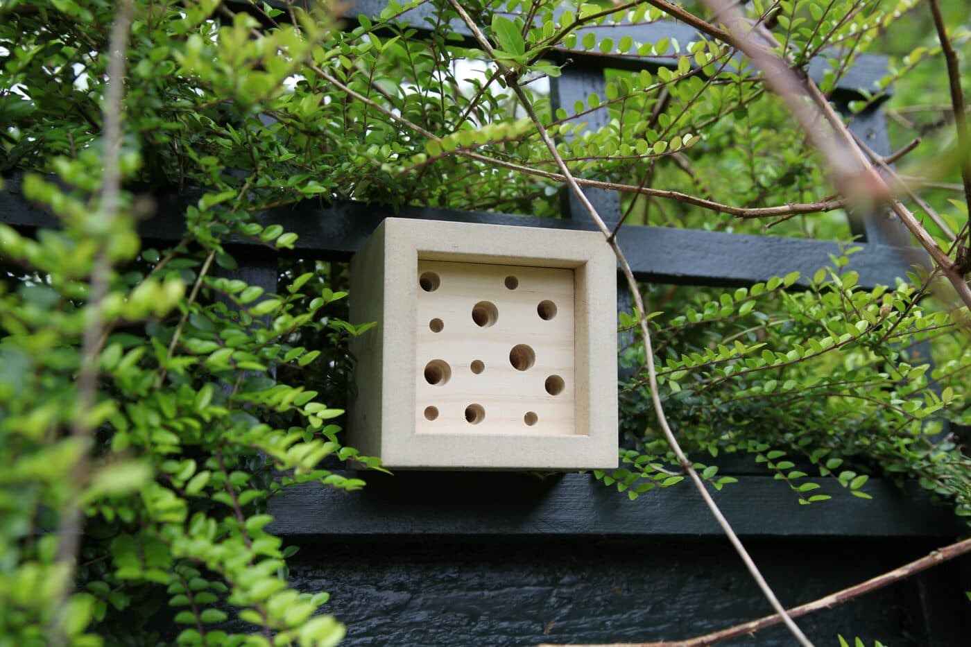 STBW bee hotel on a dark garden trellis surrounded by leaves