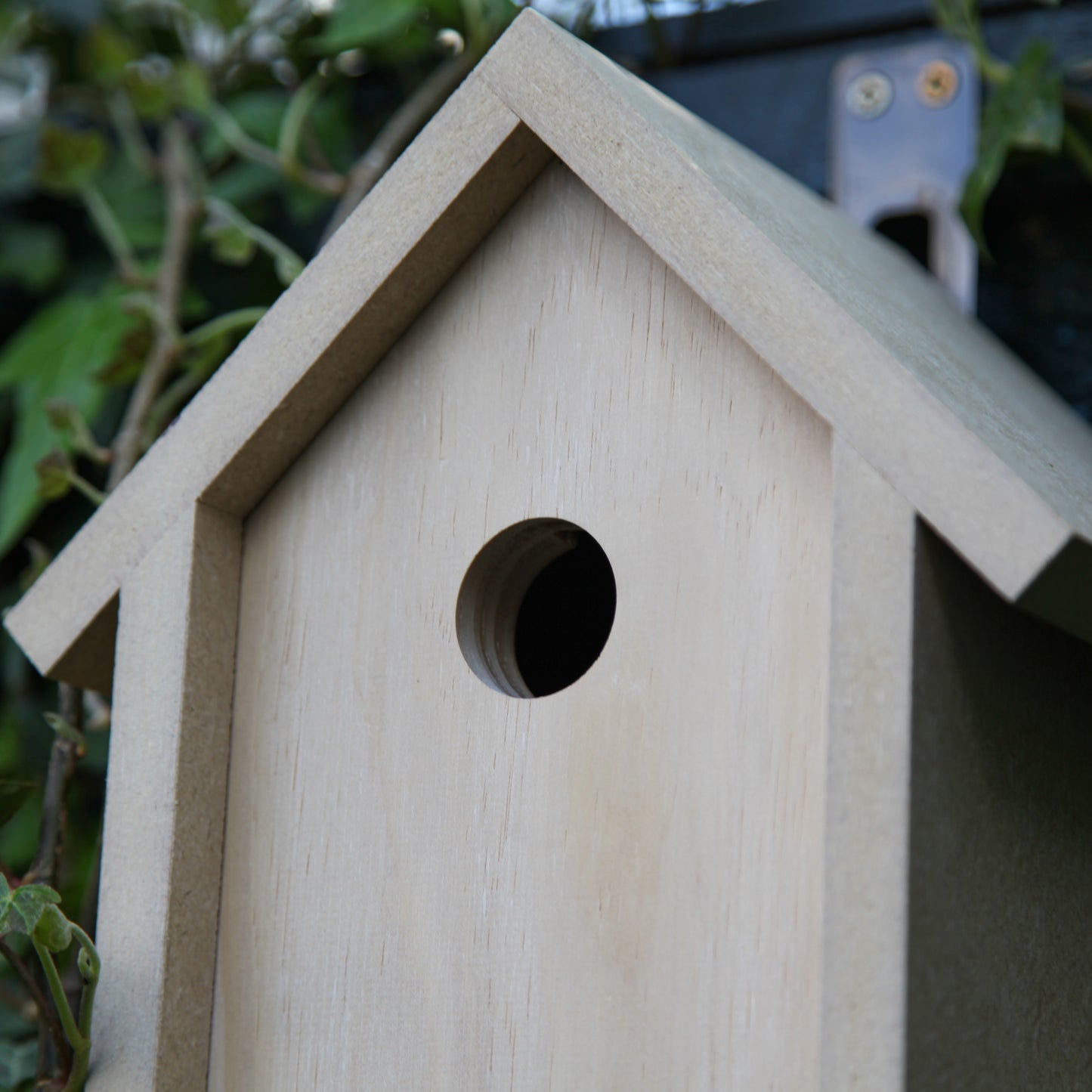 Home For Birds